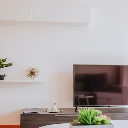 Lounge Ii By Amazing Madeira