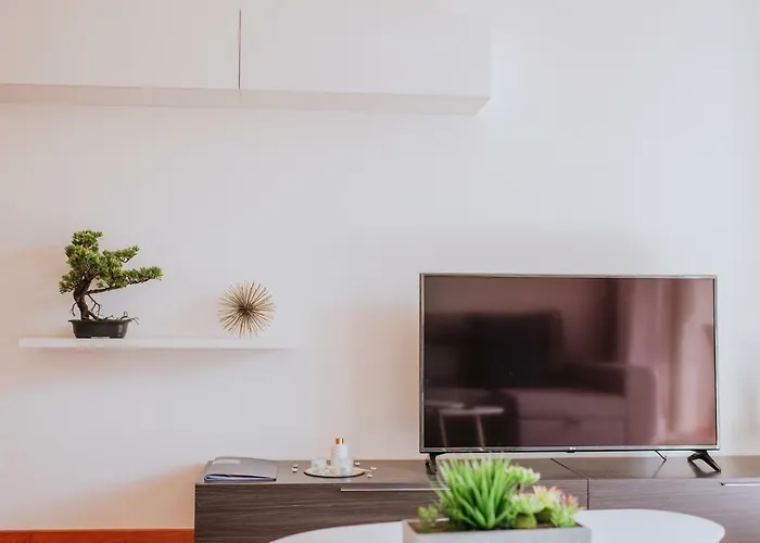 Lounge Ii By Amazing Madeira